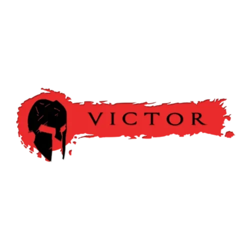 Distinction "Victor" par Hifi Nights